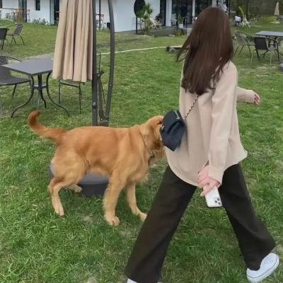 为什么不是巴西